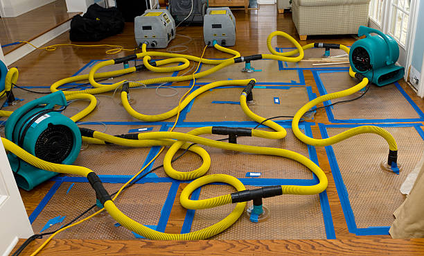 Professional Sewage Cleanup technician working in Culver, IN